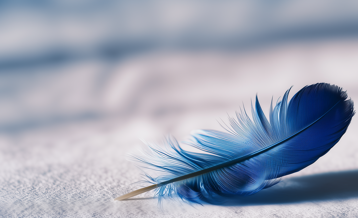 WELCOME TO  BLUE DUCK  CREATIVE